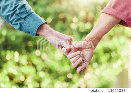 Senior couple, garden and holding hands with support and love in outdoor with commitment. Together, hand and elder person for retirement in close up with friends walking in nature for bonding. 136318884