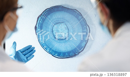 Bacteria, particles and closeup in lab for science with teamwork, discussion or analysis for healthcare. Scientist people, virus molecule or study for medical research, innovation and microscope view Bacteria, particles and closeup in lab for science with teamwork, discussion or analysis for healthcare. Scientist people, virus molecule or study for medical research, innovation and microscope view 136318897