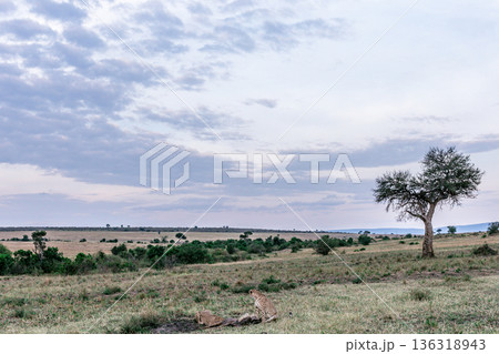 Kenya Photographers By Antony Trivet Photography Kenya Photographers By Antony Trivet Photography 136318943