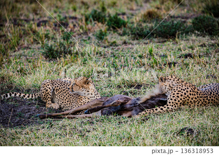 Kenya Photographers By Antony Trivet Photography 136318953