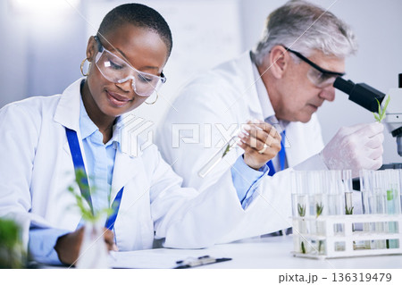 Science, agriculture and research with doctors in a laboratory together for sustainability or innovation. Healthcare, medical and pharmaceuticals with a scientist team in a lab to study plants 136319479