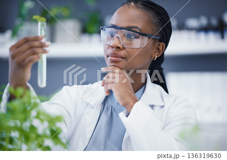 Plants, test tube and scientist woman thinking, solution and analysis in cannabis research and growth check. African person in science laboratory with medical focus for pharmaceutical or CBD benefits Plants, test tube and scientist woman thinking, solution and analysis in cannabis research and growth check. African person in science laboratory with medical focus for pharmaceutical or CBD benefits 136319630