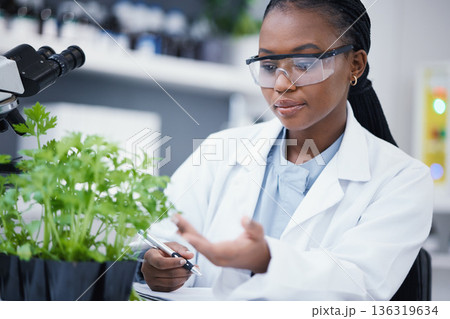 Plants, scientist or black woman writing for inspection, cannabis research or sustainability innovation. African person in science laboratory for leaf growth notes, weed info or CBD agro analysis Plants, scientist or black woman writing for inspection, cannabis research or sustainability innovation. African person in science laboratory for leaf growth notes, weed info or CBD agro analysis 136319634
