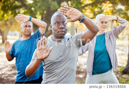 Fitness, tai chi and senior people in park for healthy body, wellness and active workout outdoors. Yoga, sports and men and women stretching in nature for exercise, training and pilates in retirement 136319888