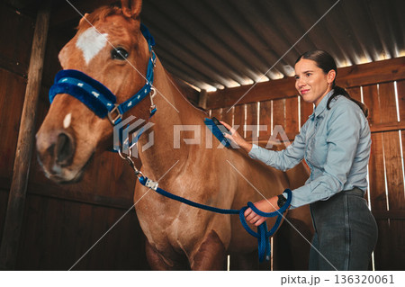 Equestrian, ranch and a woman with her horse in a barn, brushing fur before training as a jockey. Farm, sports and a female rider cleaning her pet in a stable preparation of an equine event or hobby Equestrian, ranch and a woman with her horse in a barn, brushing fur before training as a jockey. Farm, sports and a female rider cleaning her pet in a stable preparation of an equine event or hobby 136320061