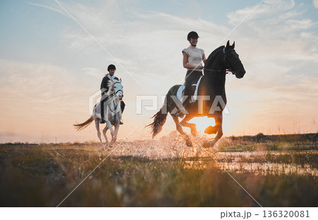 Adventure, girl and horse riding with sunset or water for holiday with bonding on field. Animal, rider and female person with splash in river for travel in outdoor at ranch for hobby or fun and race. Adventure, girl and horse riding with sunset or water for holiday with bonding on field. Animal, rider and female person with splash in river for travel in outdoor at ranch for hobby or fun and race. 136320081