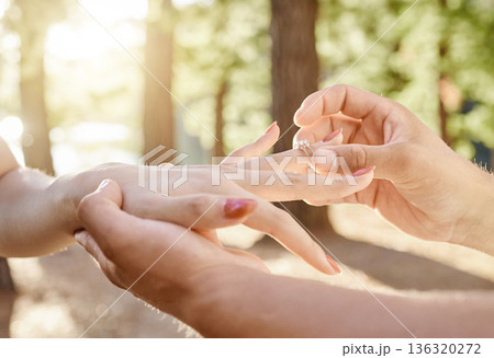 Closeup, hand and engagement ring in forest for love or commitment with couple in woods. Proposal, nature and jewellery in outdoor for special occasion to save the date for marriage celebration. Closeup, hand and engagement ring in forest for love or commitment with couple in woods. Proposal, nature and jewellery in outdoor for special occasion to save the date for marriage celebration. 136320272