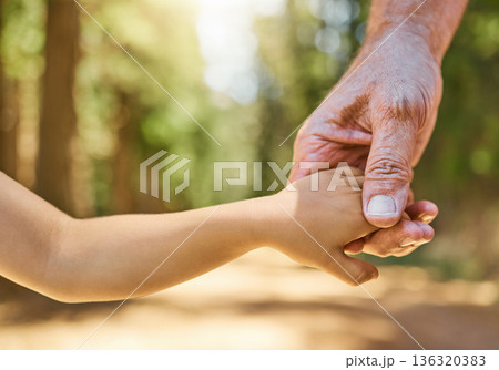 Closeup, holding hands and senior man with son, forest or support with peace, love or care with bonding. Zoom, male person or kid touching palms, helping hand or freedom in nature, adventure and walk Closeup, holding hands and senior man with son, forest or support with peace, love or care with bonding. Zoom, male person or kid touching palms, helping hand or freedom in nature, adventure and walk 136320383