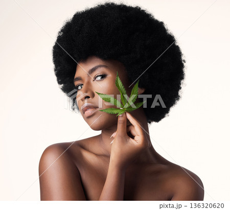 African woman, leaves and CBD in studio portrait for wellness, cosmetics or skincare by white background. Girl, model and hemp for beauty, makeup or natural glow on skin for aesthetic, afro or health African woman, leaves and CBD in studio portrait for wellness, cosmetics or skincare by white background. Girl, model and hemp for beauty, makeup or natural glow on skin for aesthetic, afro or health 136320620