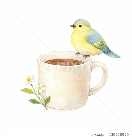 水彩風 小鳥とコーヒーカップ カフェ風 切り抜きイラスト素材 136320990