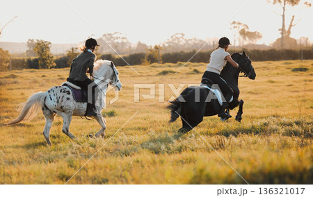 Horse riding, equestrian and hobby with friends in nature racing on horseback during a summer morning. Countryside, freedom and the back of female riders outdoor together for travel, fun or adventure 136321017