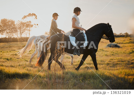 Horse riding, countryside and hobby with friends in nature on horseback through a field during a summer morning. Freedom, equestrian and female riders outdoor together for travel, fun or adventure Horse riding, countryside and hobby with friends in nature on horseback through a field during a summer morning. Freedom, equestrian and female riders outdoor together for travel, fun or adventure 136321019