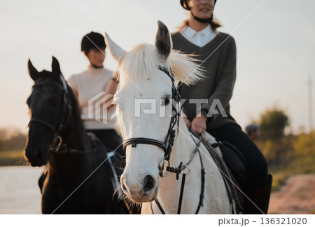 Horse ride, freedom and hobby with friends in nature on horseback by the lake during a summer morning. Countryside, equestrian and female people riding outdoor together for travel, fun or adventure 136321020
