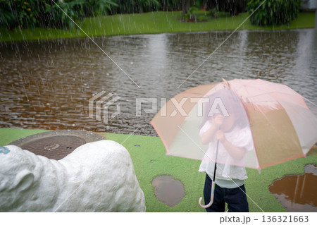 大雨の中傘をさして歩く子供 大雨の中傘をさして歩く子供 136321663