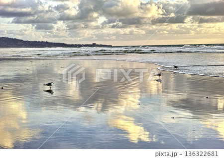 Beach, travel and birds on the sand by the ocean with clouds in the blue sky by sunset. Nature, summer and animals by the sea water waves outdoor at dawn on a tropical island with a seascape. Beach, travel and birds on the sand by the ocean with clouds in the blue sky by sunset. Nature, summer and animals by the sea water waves outdoor at dawn on a tropical island with a seascape. 136322681