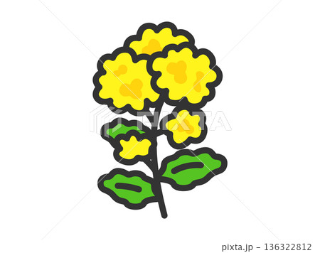 菜の花のアイコン(線画カラー)のイラスト 菜の花のアイコン(線画カラー)のイラスト 136322812