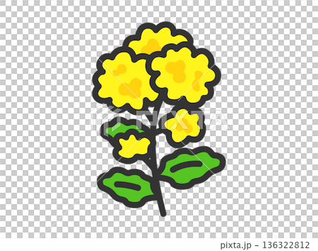菜の花のアイコン(線画カラー)のイラスト 菜の花のアイコン(線画カラー)のイラスト 136322812