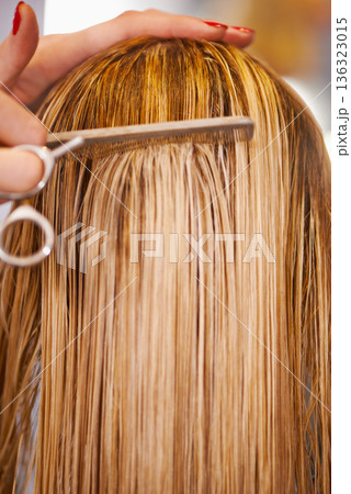 Hair care, hairdresser scissors and hands of woman cut hairstyle, grooming and cleaning in beauty salon. Hairdressing studio, client service and back of closeup blonde person for healthy treatment Hair care, hairdresser scissors and hands of woman cut hairstyle, grooming and cleaning in beauty salon. Hairdressing studio, client service and back of closeup blonde person for healthy treatment 136323015