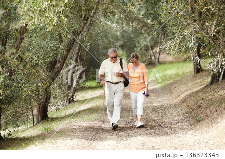 Hiking, fitness and senior couple in forest walking for retirement exercise, wellness support and path in nature. Elderly people in woods for cardio, travel and carbon footprint journey or trekking 136323343