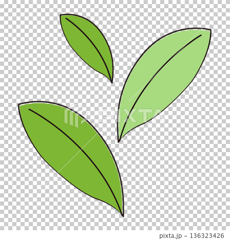Simple leaf illustration Simple leaf illustration 136323426