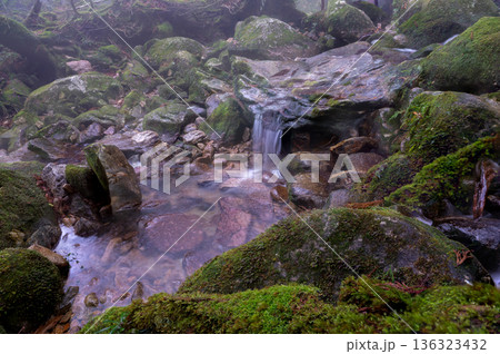 幻想神秘の渓谷　屋久島国立公園(冬 136323432