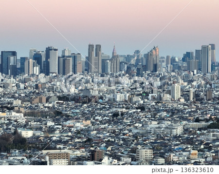 ＜鳥瞰＞夕景の都庁から都心部の街並み 136323610