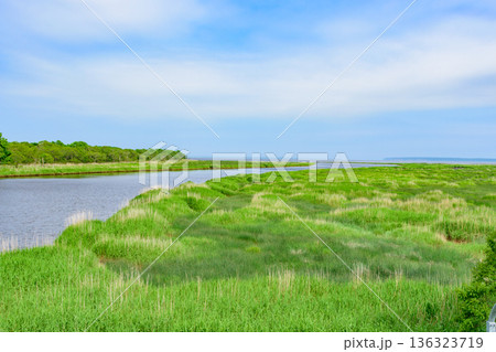 道東 ヤウシュベツ川湿原 夏 道東 ヤウシュベツ川湿原 夏 136323719