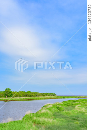 道東 ヤウシュベツ川湿原 夏 道東 ヤウシュベツ川湿原 夏 136323720