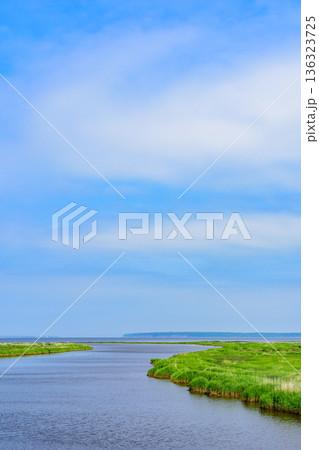 道東 ヤウシュベツ川湿原 夏 道東 ヤウシュベツ川湿原 夏 136323725
