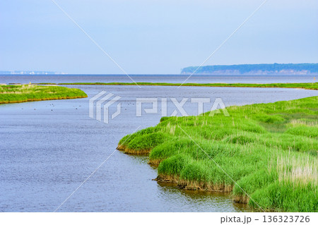 道東 ヤウシュベツ川湿原 夏 道東 ヤウシュベツ川湿原 夏 136323726