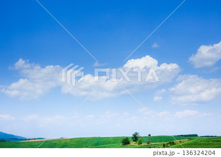 青空と雲の北海道美瑛町の初夏の風景 青空と雲の北海道美瑛町の初夏の風景 136324204