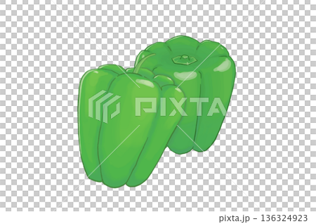 新鮮なピーマンの手描きイラスト 2個セット 136324923