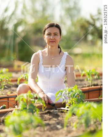Adult woman planting plants in cottage garden 136325715