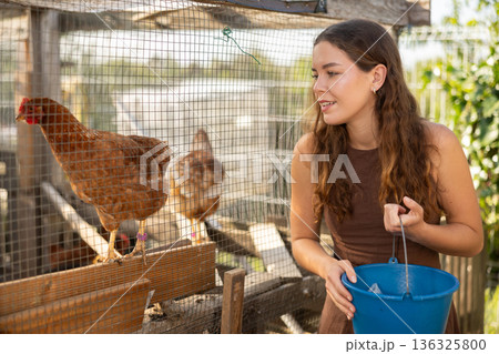 Woman feeds chickens in coop in the backyard of farm Woman feeds chickens in coop in the backyard of farm 136325800