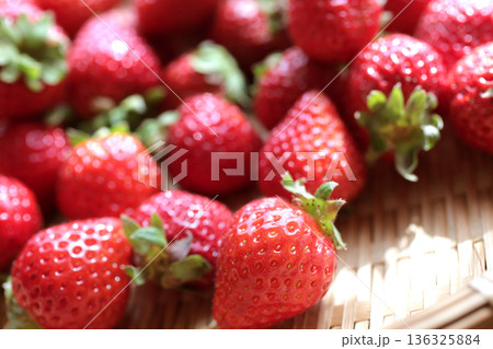 カゴに盛った収穫したイチゴ 136325884