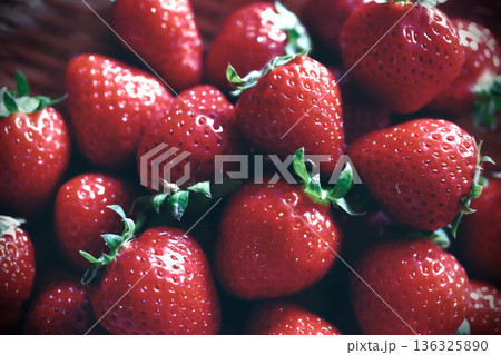 カゴに盛った収穫したイチゴ 136325890