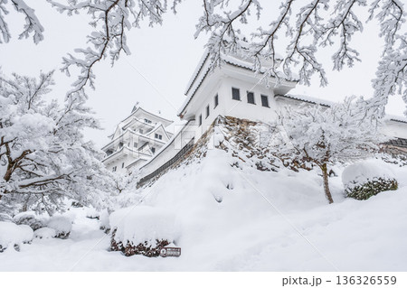 郡上八幡城（冬） 136326559