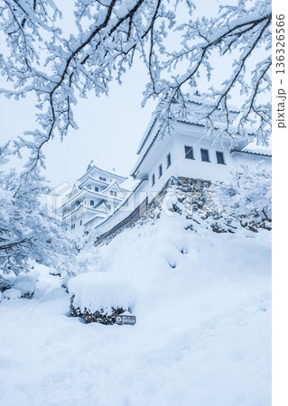 郡上八幡城（冬） 136326566