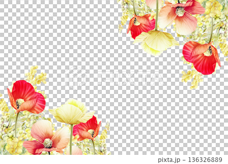 Red poppy and mimosa flower frame 136326889