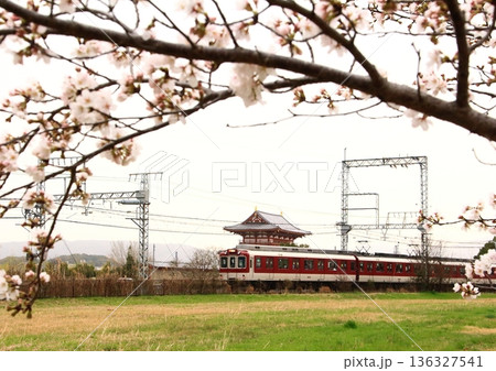 奈良平城宮跡で復元された朱雀門と満開の桜を見ながら走行する近鉄電車 奈良平城宮跡で復元された朱雀門と満開の桜を見ながら走行する近鉄電車 136327541
