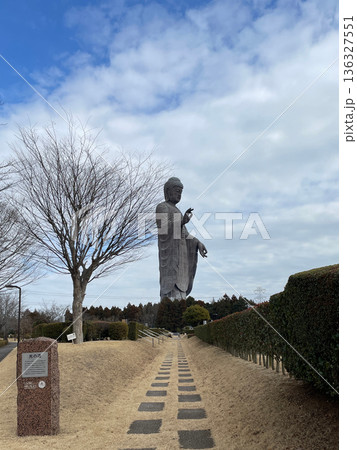茨城県牛久市にある牛久大仏へと続く光の道 136327551