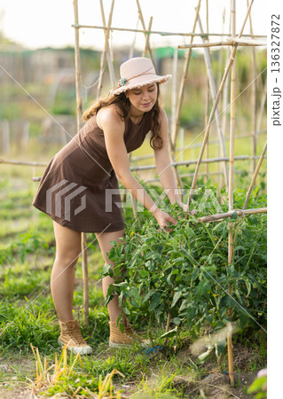 Young woman caring for plant in garden Young woman caring for plant in garden 136327872