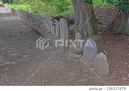 金松寺(松本) 金松寺(松本) 136327879