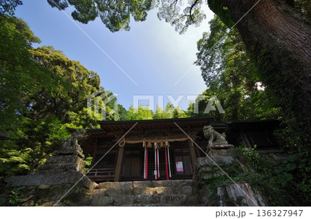 鳥栖市 四阿屋(あずまや)神社 鳥栖市 四阿屋(あずまや)神社 136327947