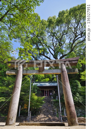 鳥栖市 四阿屋(あずまや)神社 鳥栖市 四阿屋(あずまや)神社 136327951