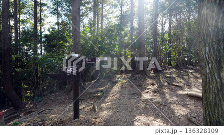 富幕山　登山道 136328109