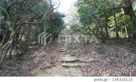 富幕山 登山道 富幕山 登山道 136328113