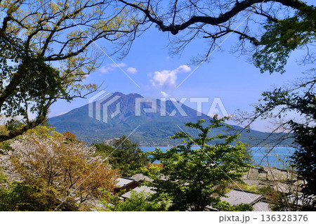 仙巌園・御殿と桜島(鹿児島県・鹿児島市) 仙巌園・御殿と桜島(鹿児島県・鹿児島市) 136328376