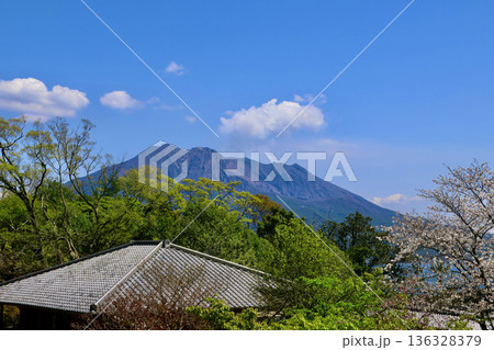 仙巌園・御殿と桜島（鹿児島県・鹿児島市） 136328379