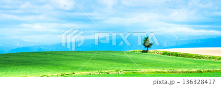 爽やかな風を感じる北海道美瑛町周辺にある一本の木がある風景 136328417